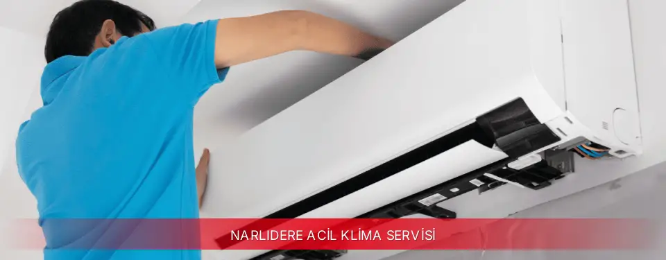 Narlıdere İlçemi Mitsubishi Electric Acil Klima Servisi