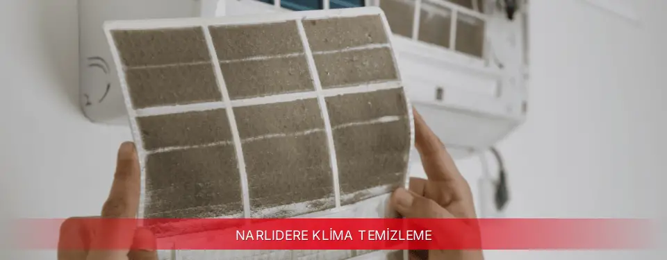 Narlıdere İlçemi Mitsubishi Electric Klima Temizleme